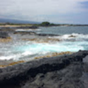 Meet your Posher, Julia freeman